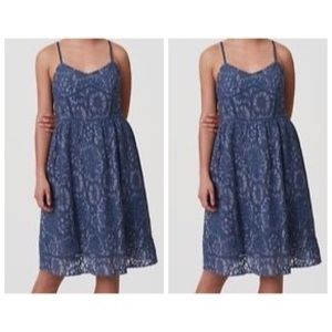 Loft lace dress